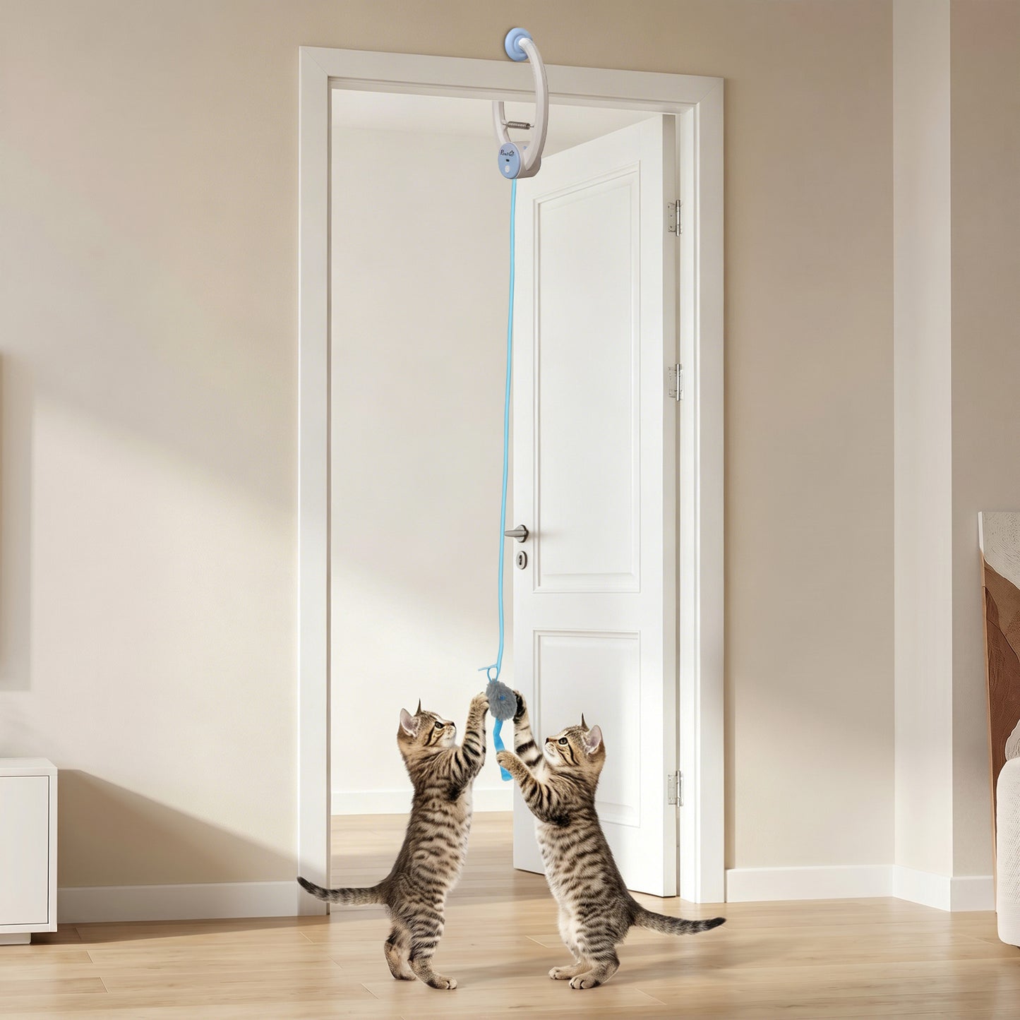 Interactive Cat Toys for Indoor Kittens & Adult USB Rechargeable Door Hanging Bouncing Mouse Teaser