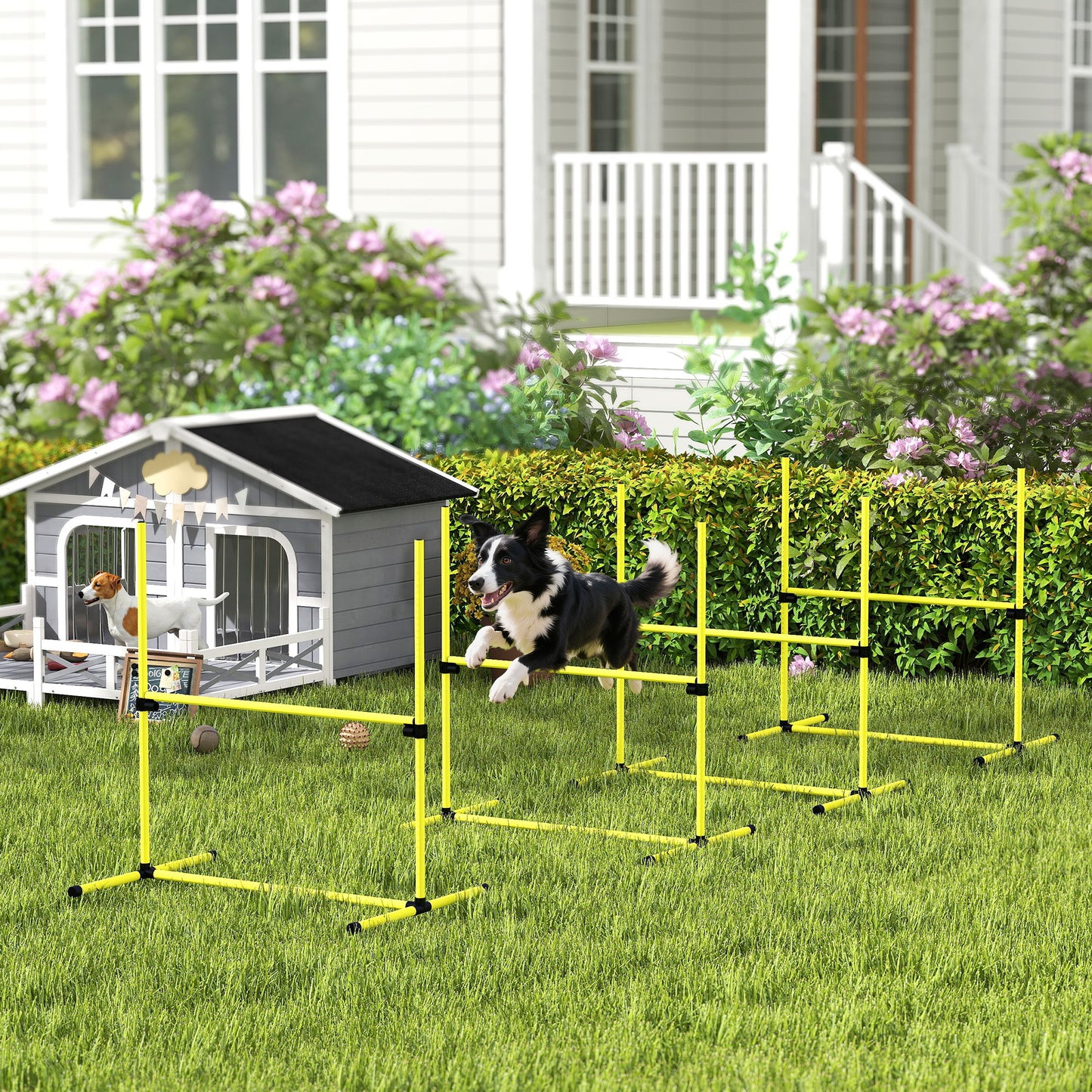 4 Pieces Dog Agility Training Equipment, Adjustable Height Jumps Hurdle with Carrying Bag for Outdoor, Yellow