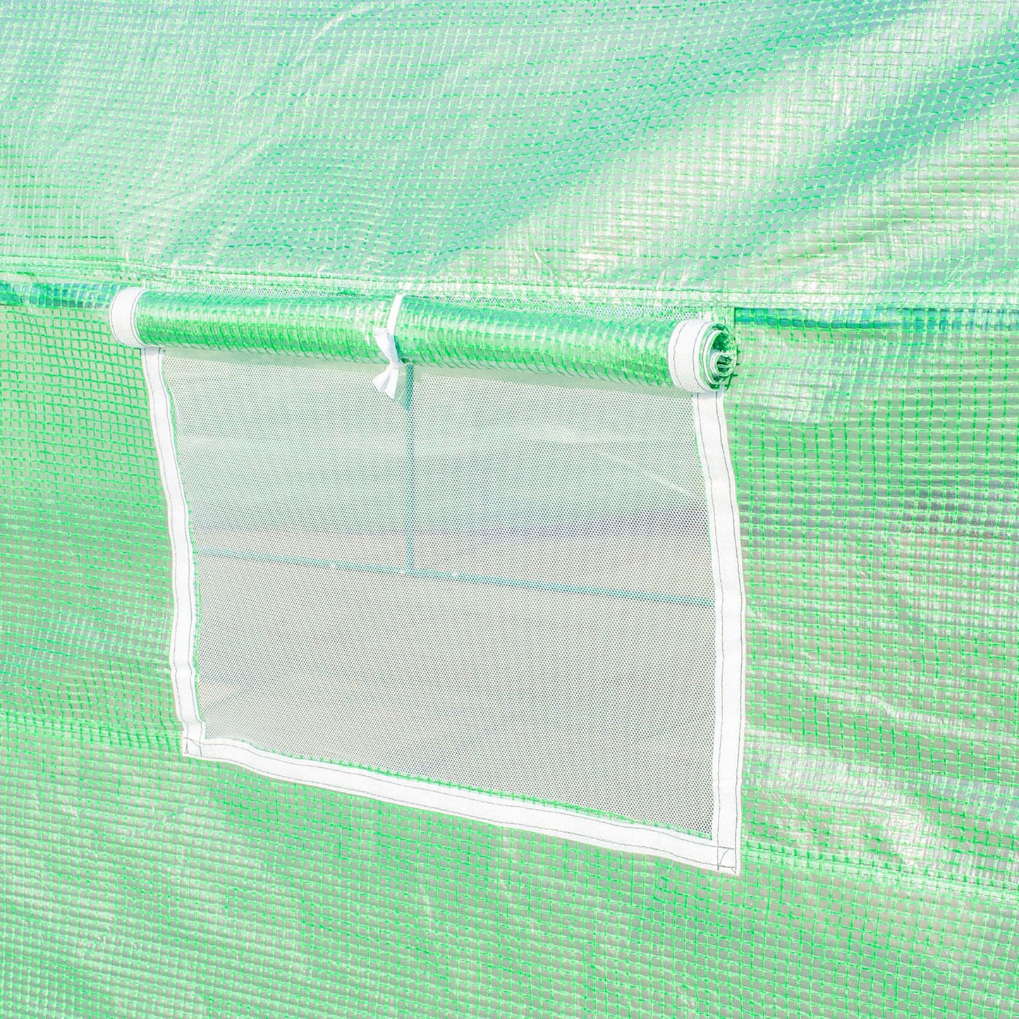 Polytunnel Greenhouse with Windows and Door, Walk in Greenhouse for Garden, Backyard (6 x 3 M)