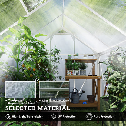 6 x 8ft Walk-In Greenhouse, with Sliding Door - Clear