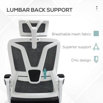 Ergonomic Office Chair, High Back Desk Chair, Reclining Mesh Computer Chair with Adjustable Headrest, Lumbar Support