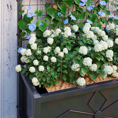 Raised Bed for Garden with Trellis, Galvanised Planter Box with Diamond Pattern, Drainage Holes for Vegetables