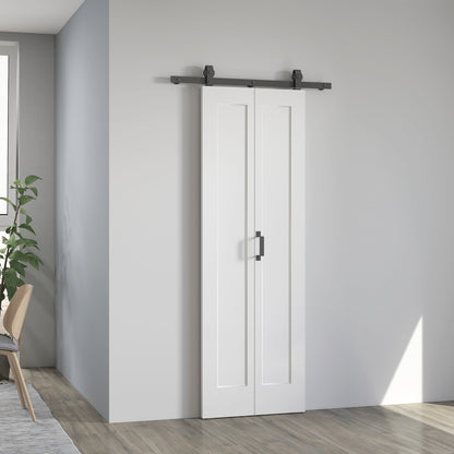 Slide Door, 70cm Modern Sliding Door Set Kit with Steel Rail, White