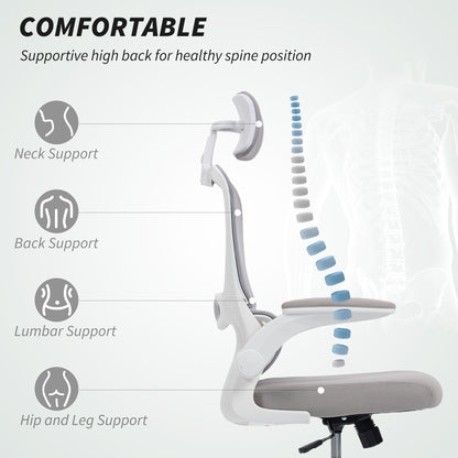 Mesh Back Office Chair, with Lumbar Support - Grey