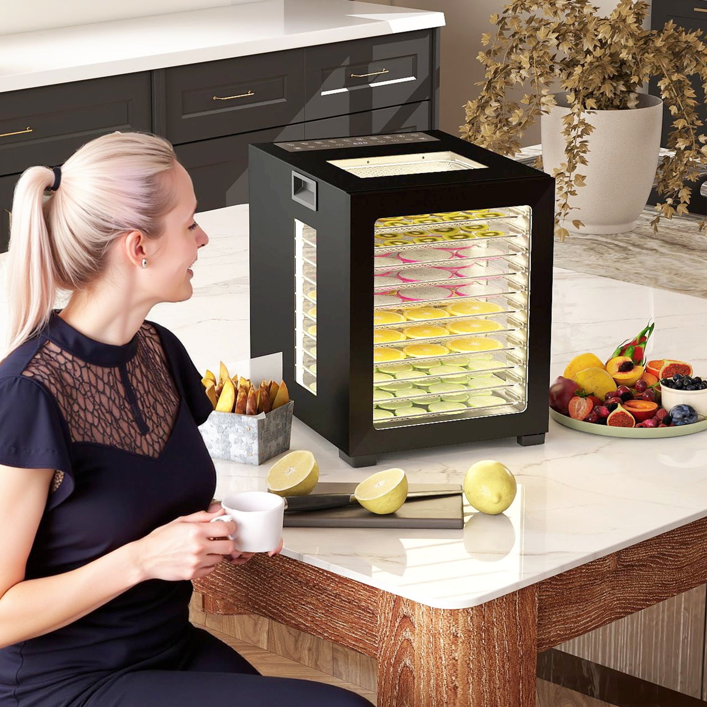 12-Tray 40-70℃ Food Dehydrator - Black