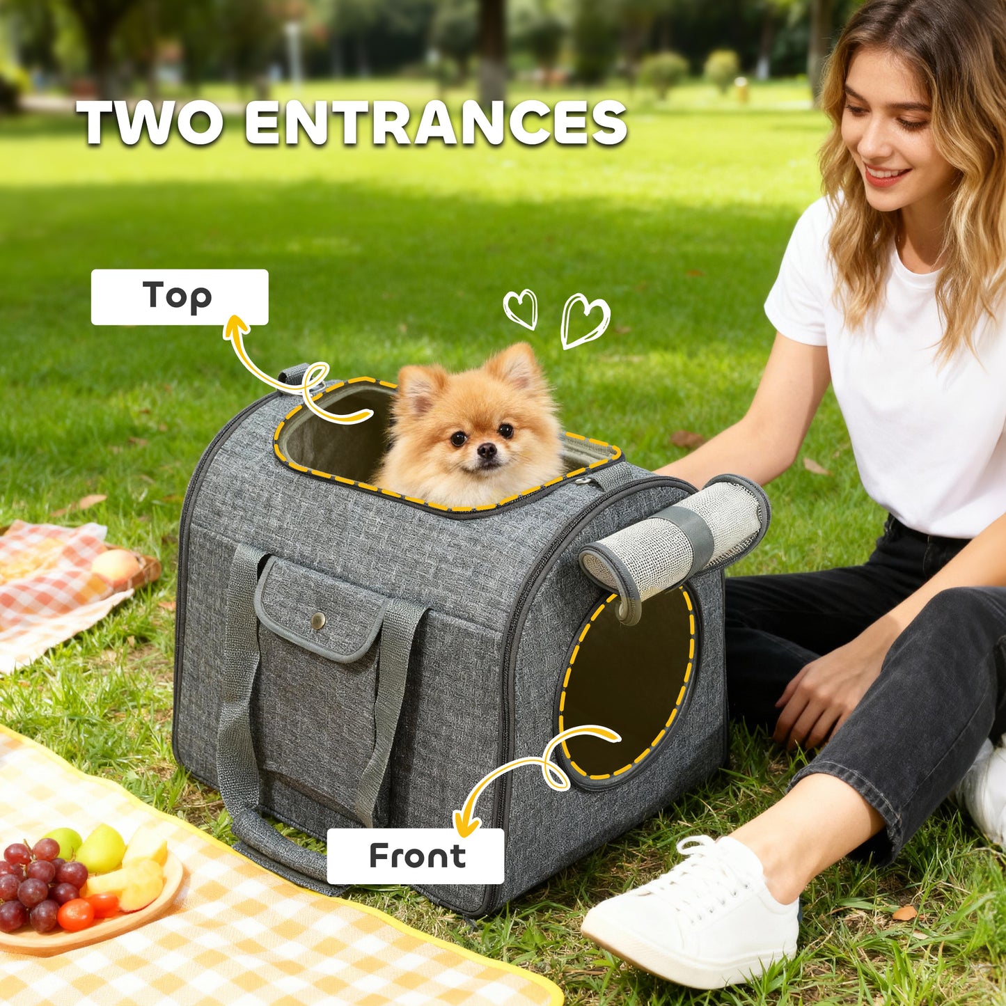 Soft Sided Cat Carrier Bag, Portable Foldable Pet Carrier with Shoulder Strap & Removable Mat for Small Pet Up to 10kg