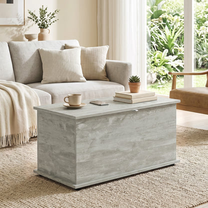 Storage Chest, 102L Blanket Box, Shoe Bench with Safety Hinged Lid, Bed End Bench for Bedroom, 80 x 40 x 45cm, Grey
