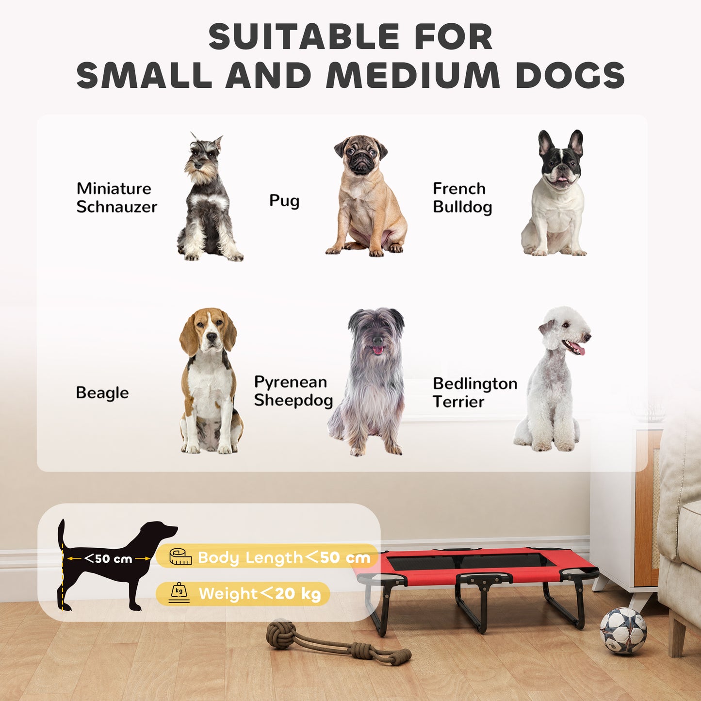 Portable Raised Dog Bed, Elevated Pet Cot with Breathable Mesh for Indoor Outdoor, for Small Medium Dogs, Red