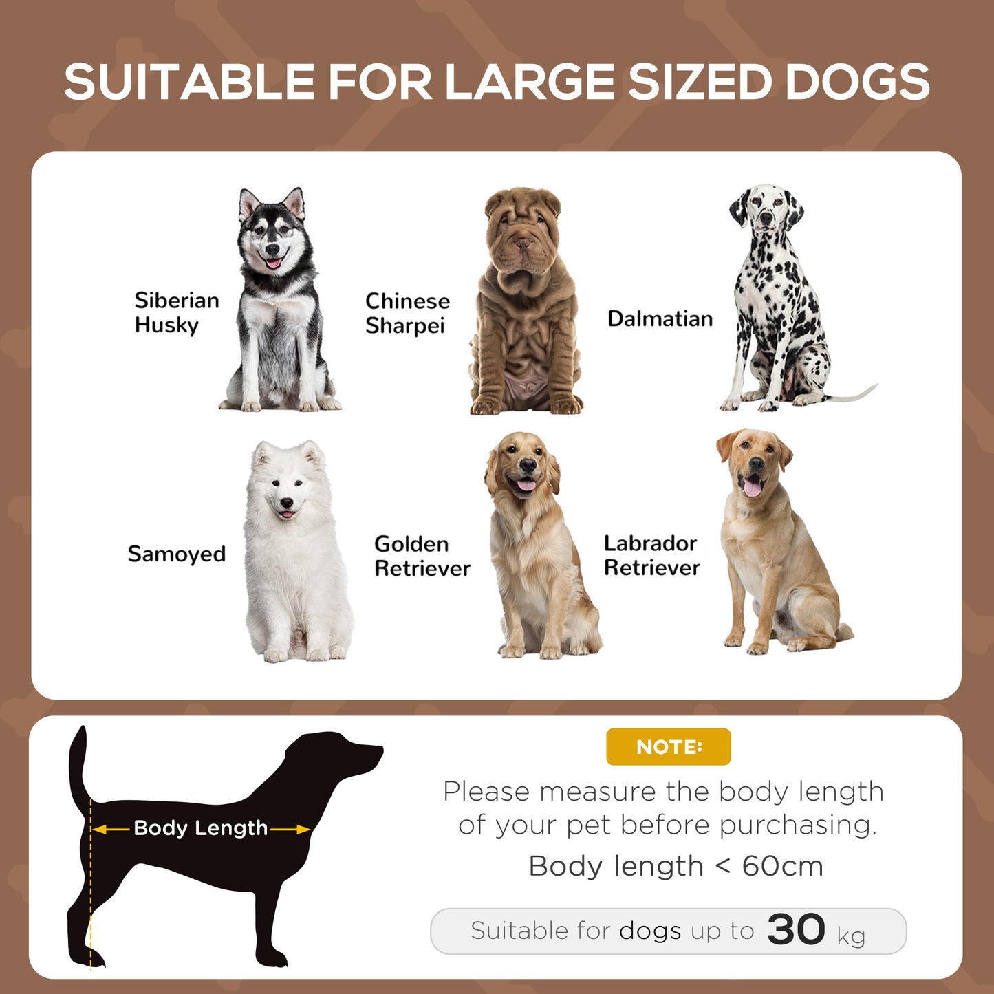 Outdoor Dog Bed with Removable Canopy, Portable Raised Dog Bed for Camping, Garden & Beach