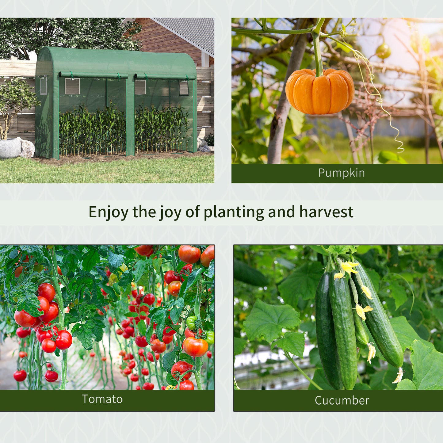 Walk-in Greenhouse, Tomato Greenhouse with Double Doors & 4 Windows, Garden Plant Growth Green House with PE Cover
