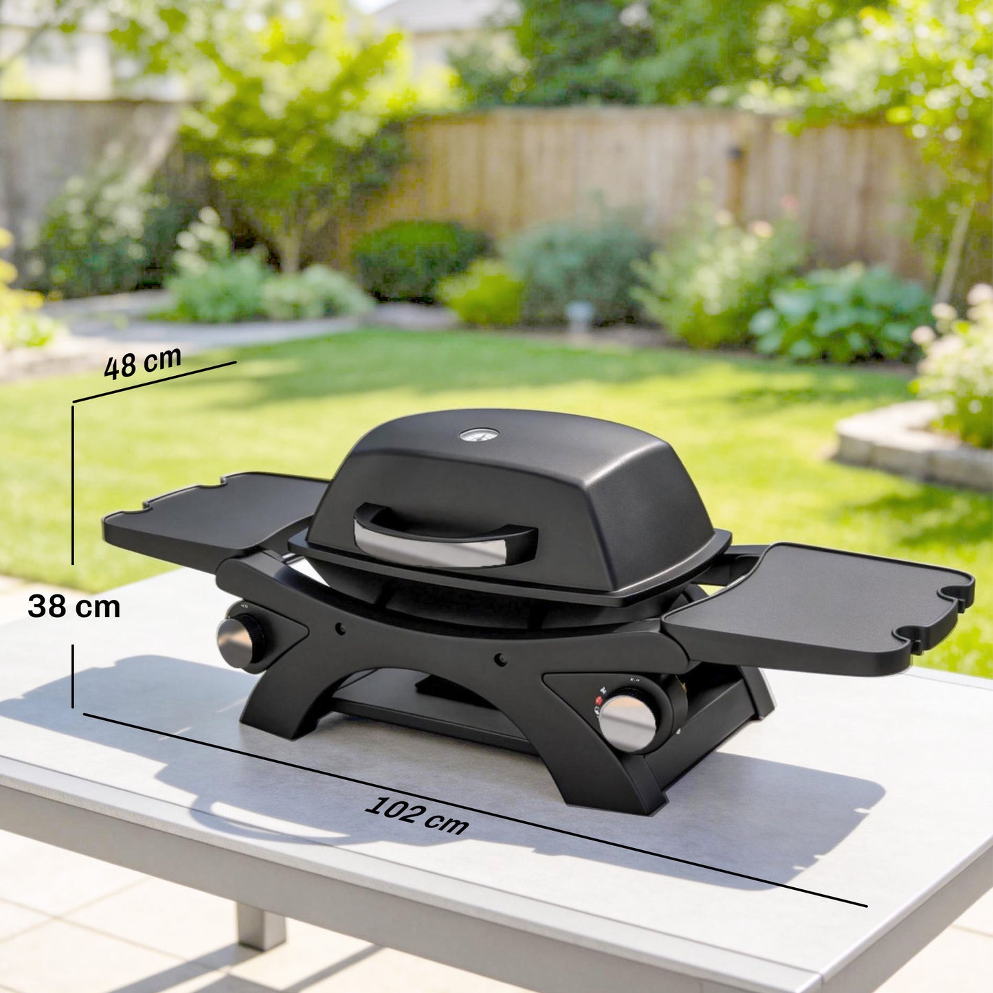 2 Burner Gas Grill with 2 Detachable Side Tables, 3.8 KW Steel Barbecue Grill with Cast Iron Grates, Lid, Thermometer