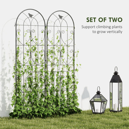 Set of 2 Garden Trellis, Metal Fence Panels for Climbing Outdoor Plants, Flowers, 180 x 50cm