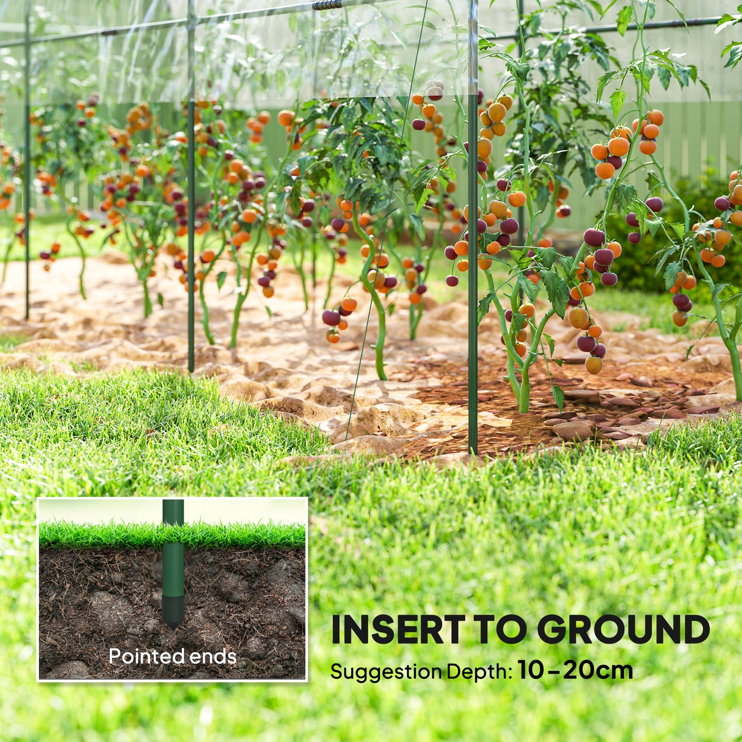 Tunnel Tomato Greenhouse with 4 Hoops and Top Tap, Pointed Bottom and Guy Ropes, 400 x 123 x 171 cm, Clear