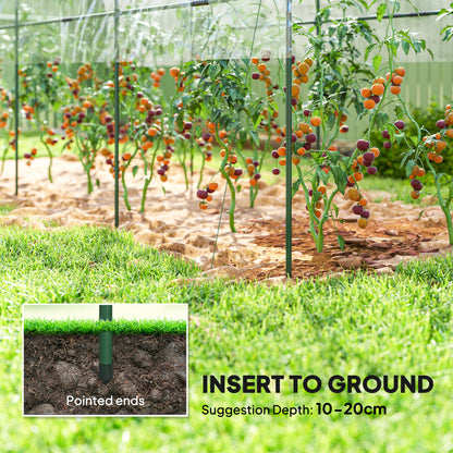 Tunnel Tomato Greenhouse with 4 Hoops and Top Tap, Pointed Bottom and Guy Ropes, 400 x 123 x 171 cm, Clear