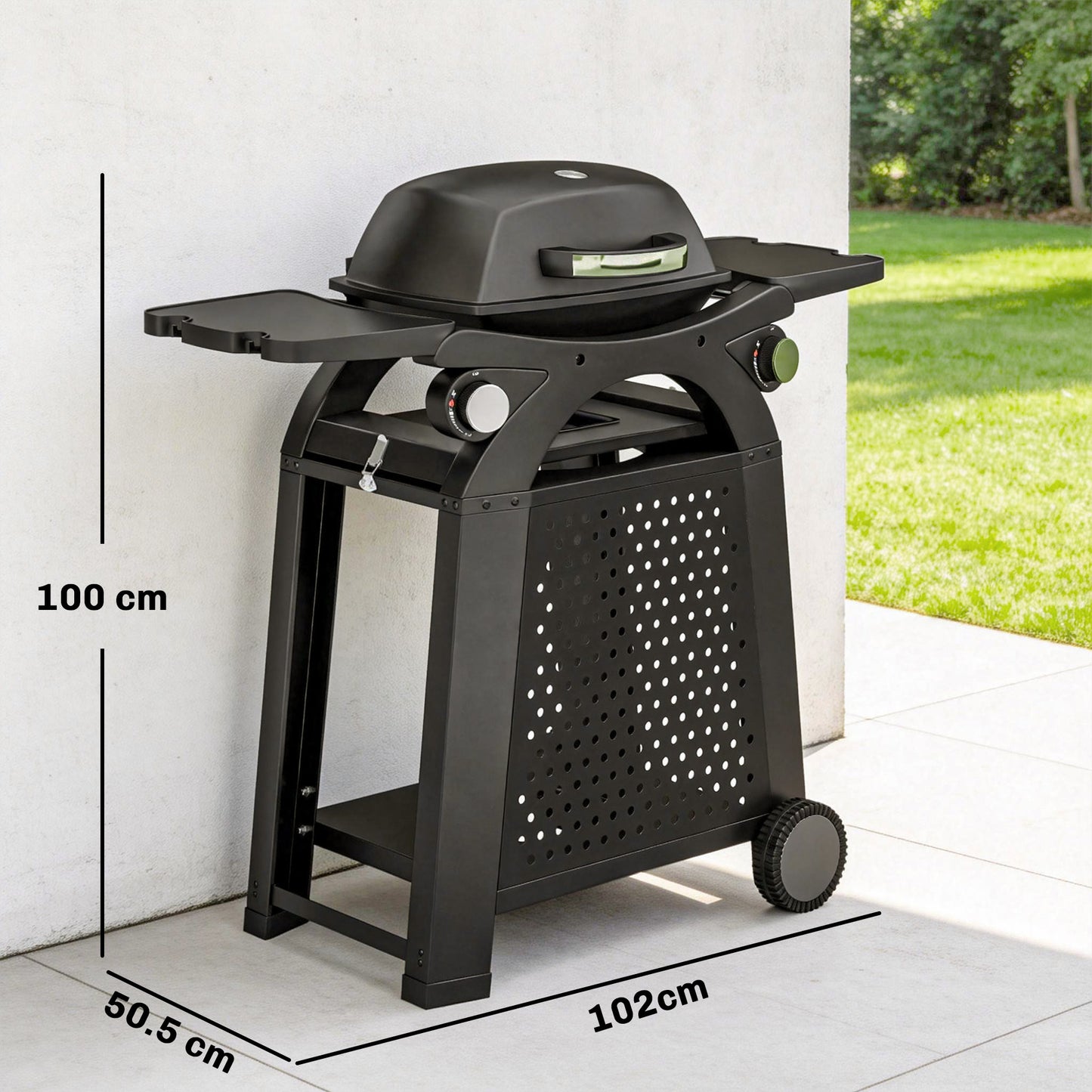 2 Burner Gas Grill with 2 Side Tables, 3.8 KW Barbecue Grill with Cast Iron Grates, 2-in-1 Tabletop BBQ with Wheels