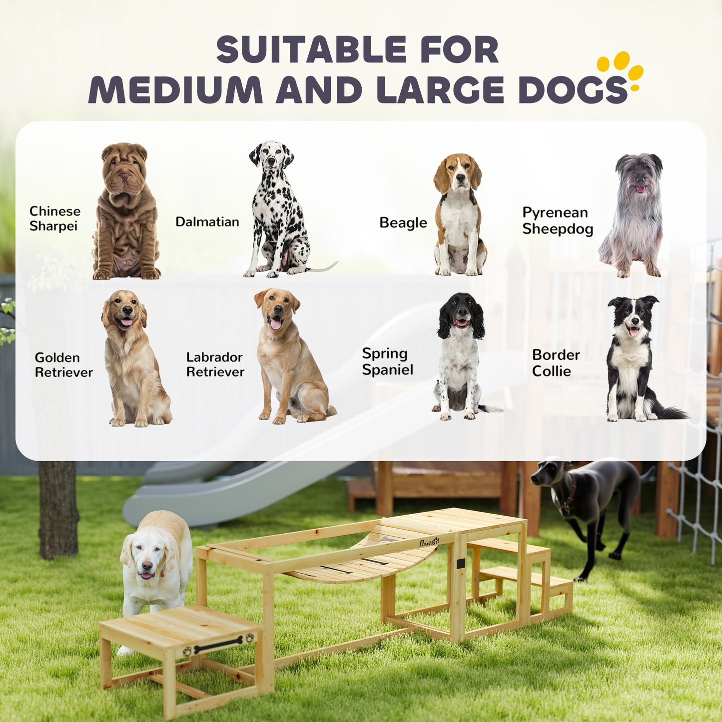 3 Pieces Wooden Dog Agility Training Equipment with Soft Bridge, Pause Platform and Pet Stair for Outdoor, Natural Wood