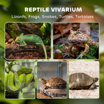 Reptile Glass Terrarium with Stone Background, Front Ventilation, Escape-Proof Knob Lock, 30 x 30 x 30 cm, Black