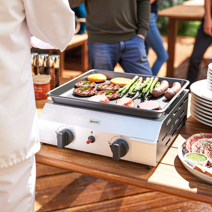 Two Burner Portable Gas Grill