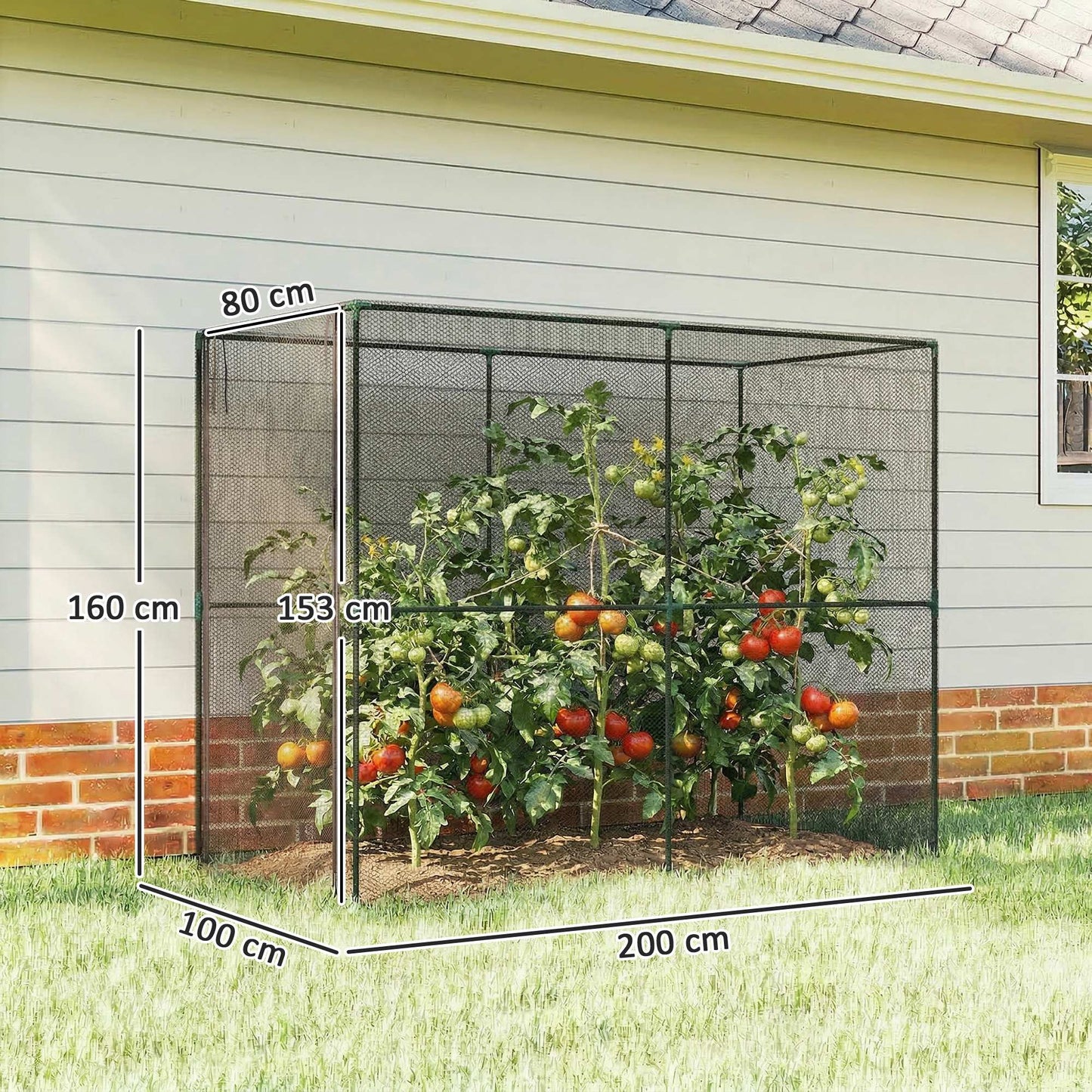 Fruit Cage Bird Netting, Brassica Cage Plant Protection Tent with Zipped Door, Anti Bird, Insects, Small Animals, Black