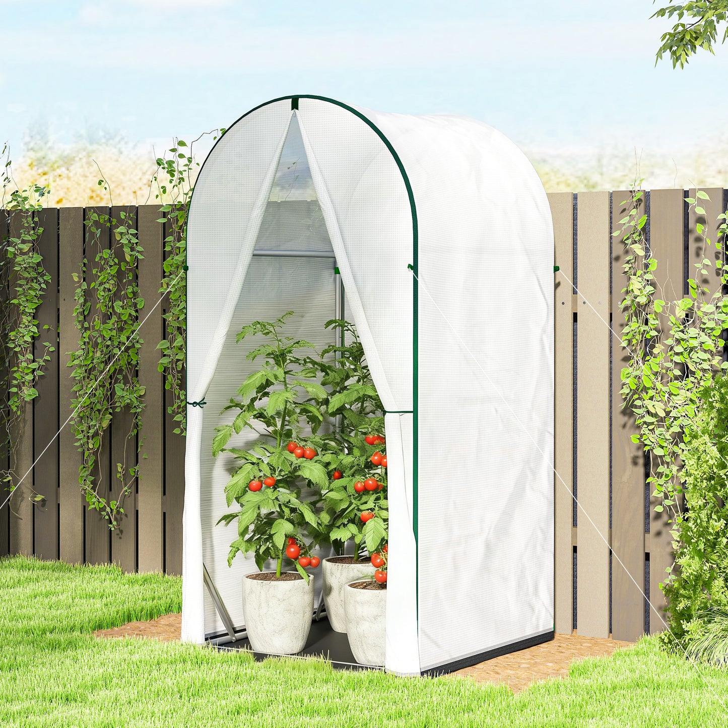 Mini Greenhouse, Portable Green House with Roll-Up Door, PE Base, Small Greenhouse, 100 x 100 x 195 cm, White