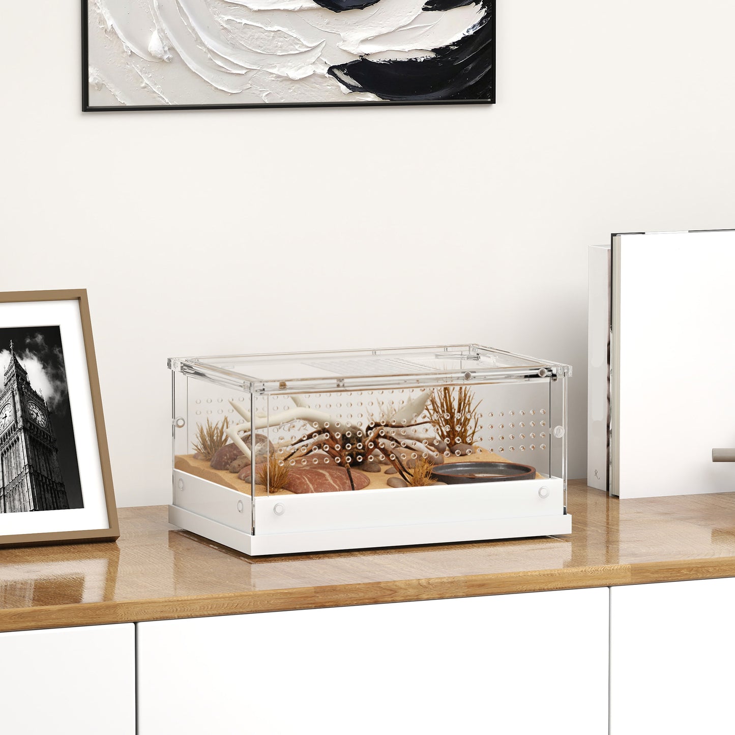 Acrylic Reptile Terrarium with Top Sliding Door, Vents, for Snake, Frog, Spider, Gecko, Tarantula, 30 x 20 x 15 cm