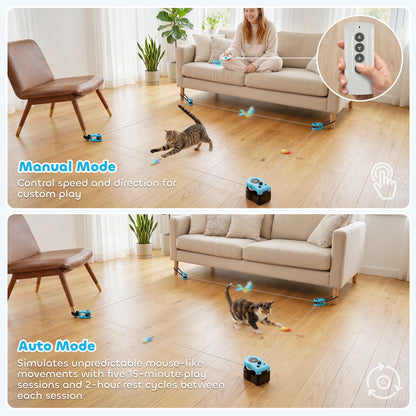 Interactive Cat Toy for Indoor Kittens & Adult with Adjustable Speed, DIY Track & Mouse Sound