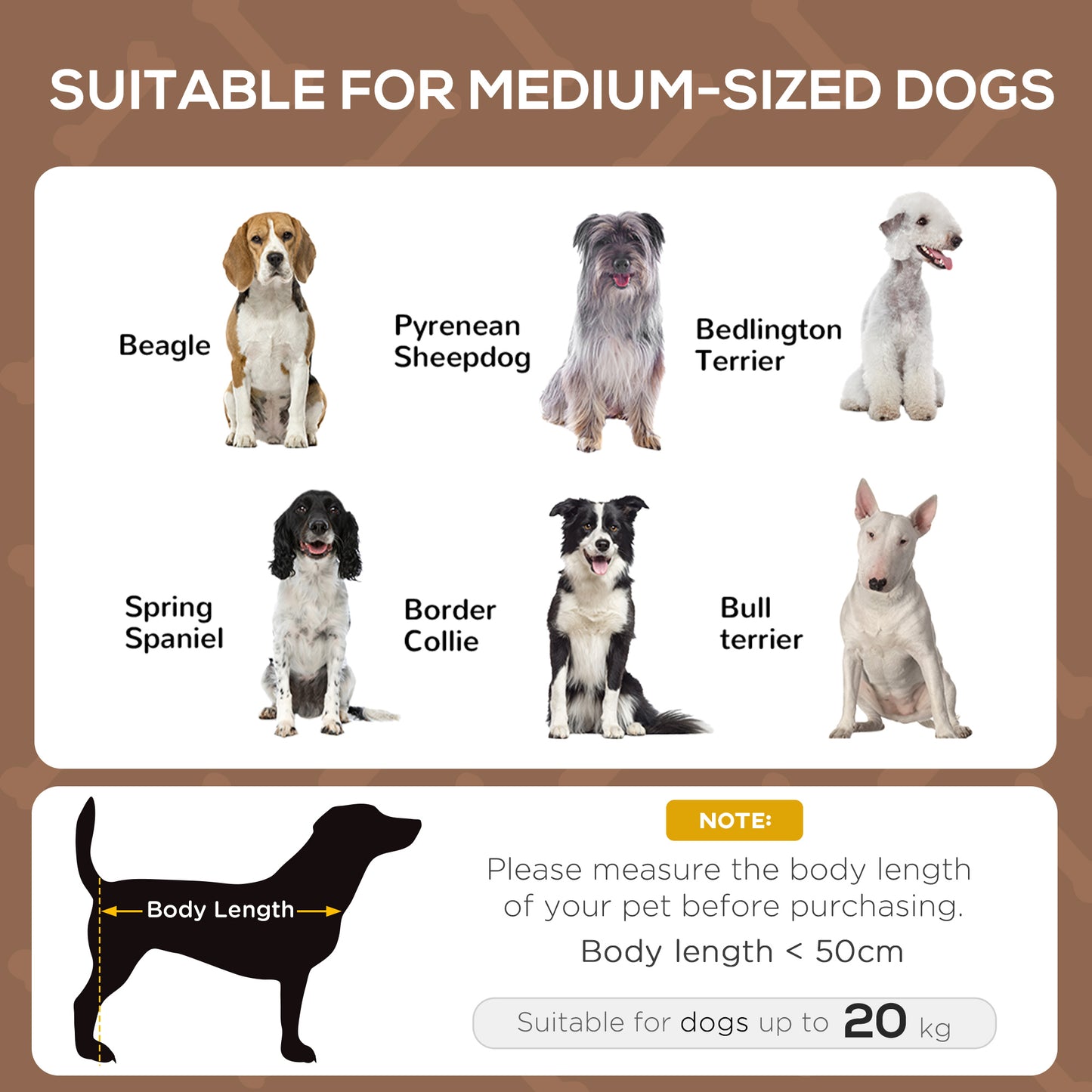 Outdoor Dog Bed with Removable Canopy, Portable Raised Dog Bed for Camping, Garden & Beach