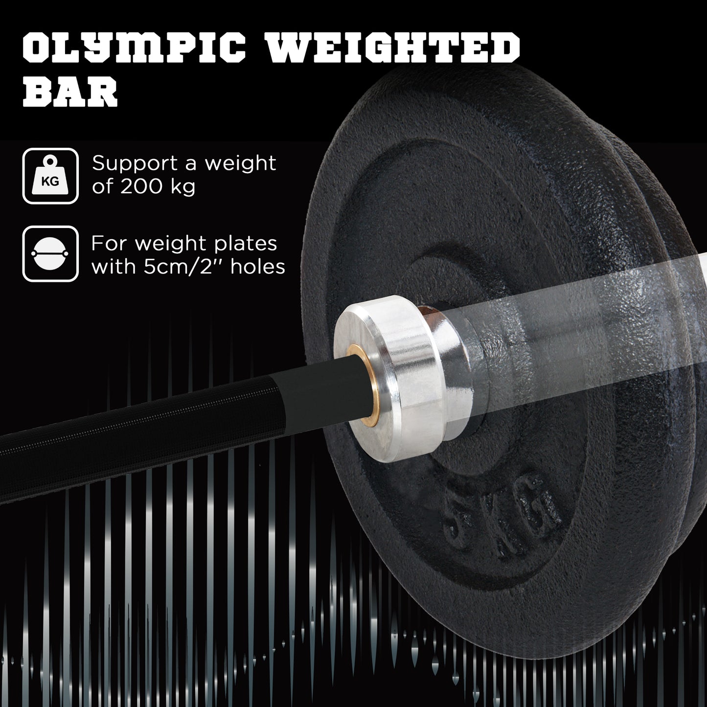 210cm Olympic Barbell Bar for 5cm Weight Plates, with Spring Clips, 19kg