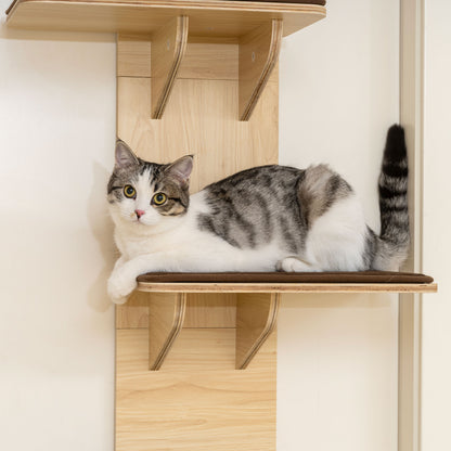 4-Level Door Mounted Cat Tree with Washable Plush Mats, Toy Balls, Door Hanging Cat Shelf for Indoor Cats