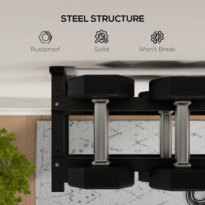 Wall-Mounted Dumbbell Rack, 2-Tier Weight Stand, Space-Saving and Multi-Functional Steel organiser for Home Gym, Black