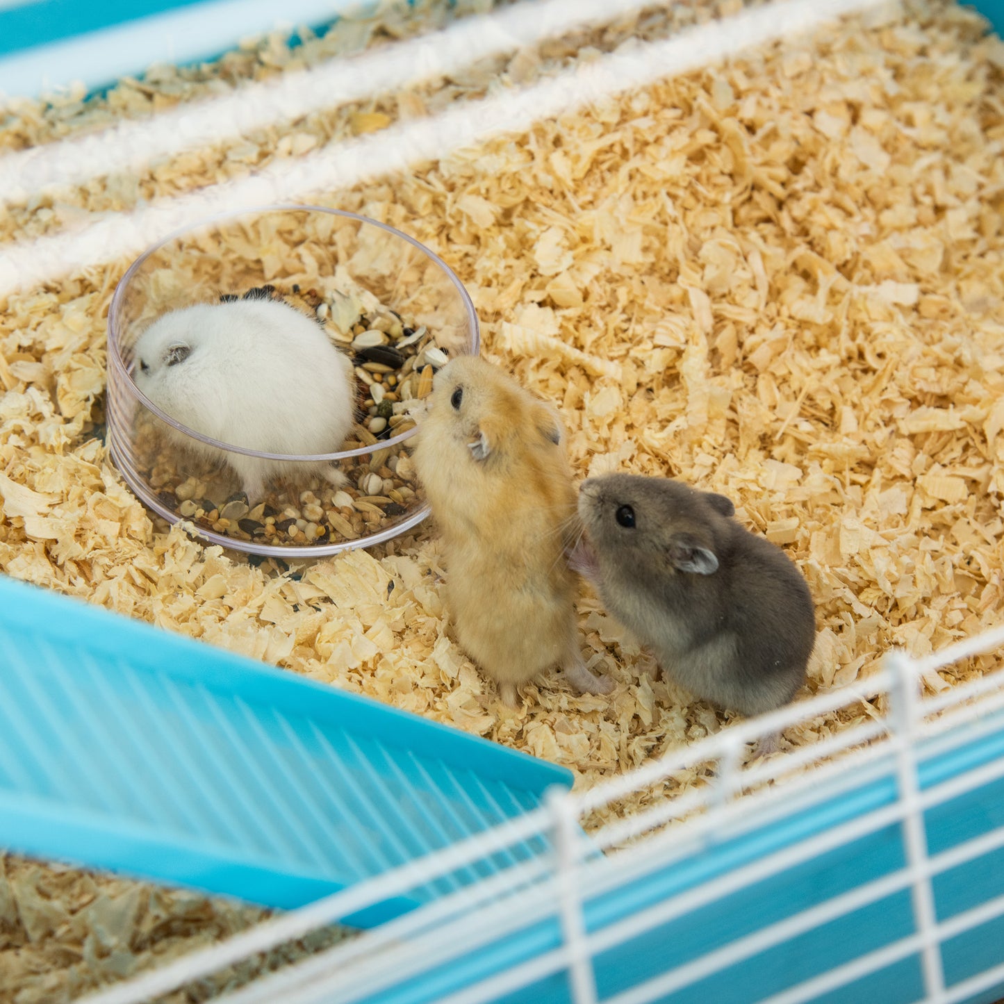Hamster Cage w/ Water Bottle, Exercise Wheel, Tubes, Ramps - Light Blue