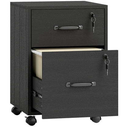 Rolling File Cabinet with 2 Drawers, Mobile Filing Cabinet with Hanging File Folder for Letter Sized Documents, Black