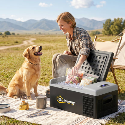 16L Portable Car Fridge, -20℃ to 10℃ Adjustable Temperature - Black/Grey