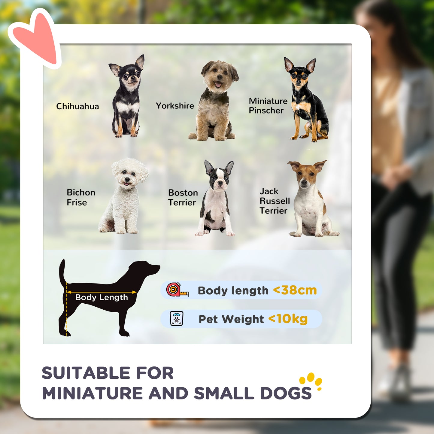 Pet Stroller for Small and Miniature Dogs, with Rain Cover - Green