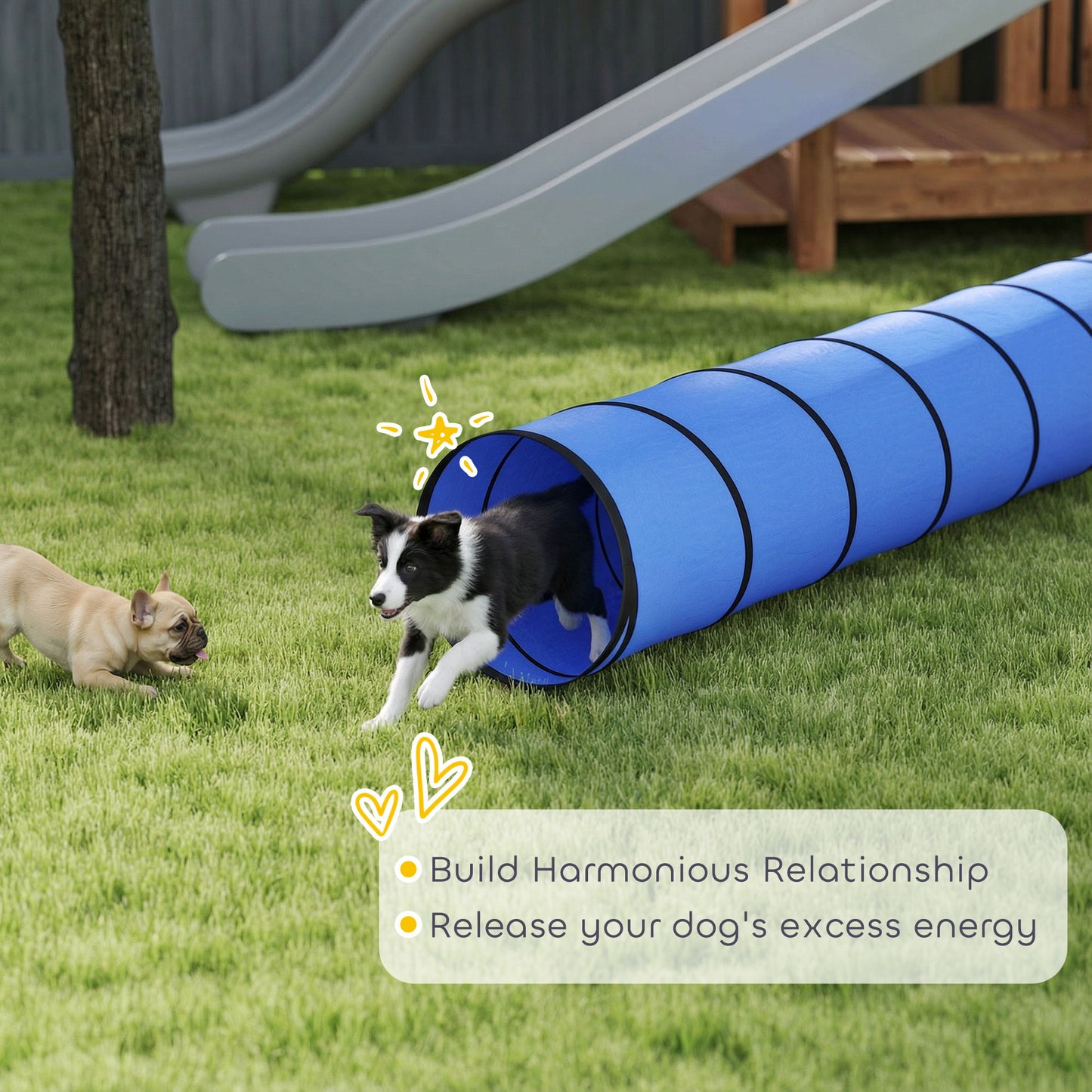 Dog Tunnel, 500 x 60 cm, Foldable Play Tunnel with 6 Pegs and Bag, Tear-Resistant Outdoor Dog Agility Equipment, Blue
