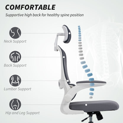 Mesh Back Office Chair, with Lumbar Support - Charcoal Grey