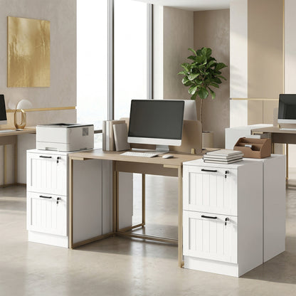 2 Drawer Filing Cabinet with Lock, Office Storage Cabinet with Adjustable Hanging Bars for A4 Letter Size Files, White
