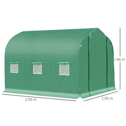 Polytunnel Greenhouse with Windows and Door, Walk in Greenhouse for Garden, Backyard (3 x 2 M)