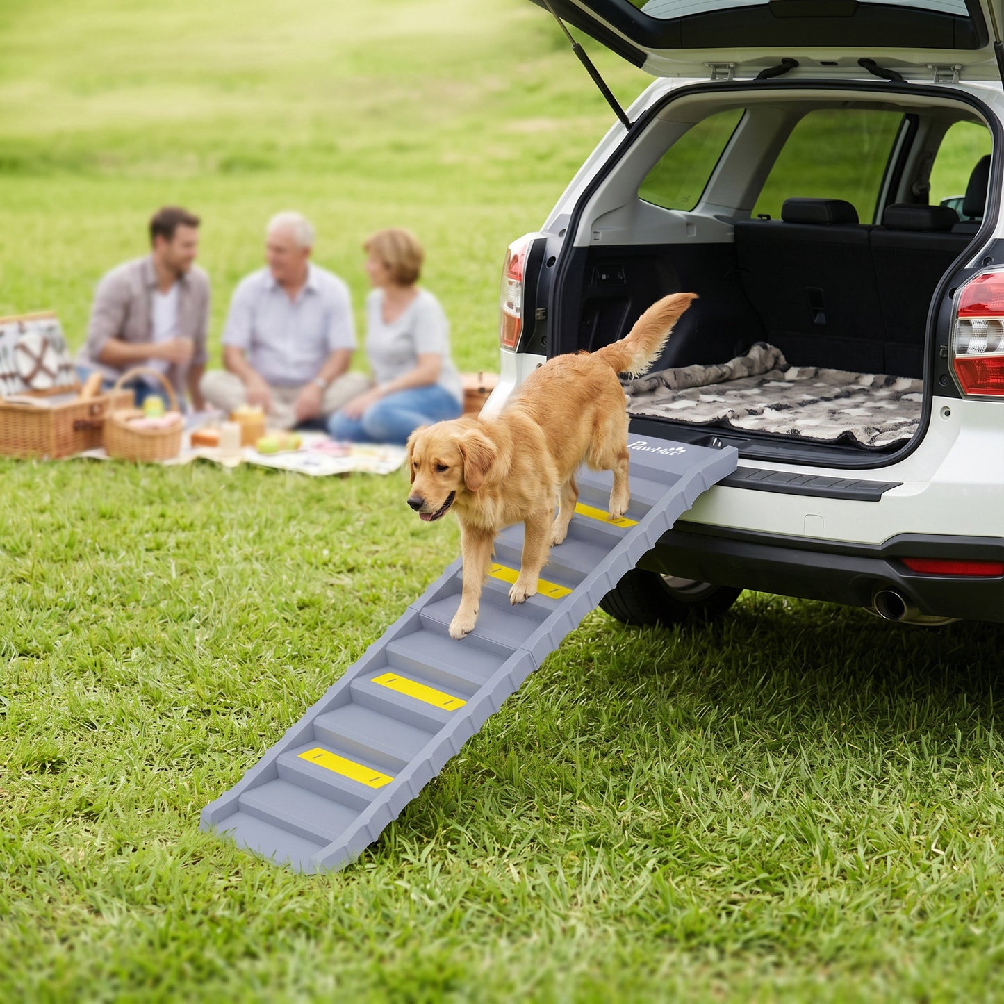 Dog Car Ramp with Anti-Slip Steps, 10-Steps Pet Stairs for Pets to Access Cars and High Beds, Grey