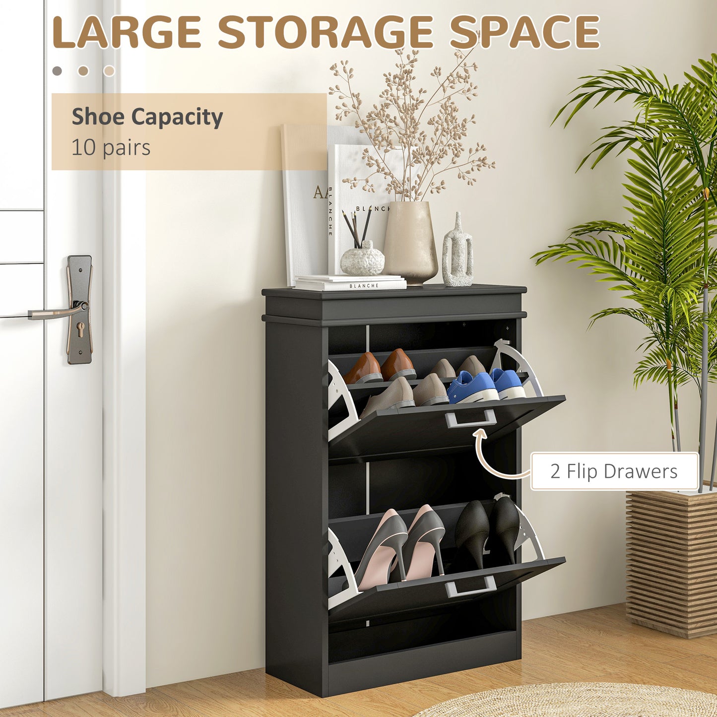 Two-Drawer Minimalistic 10-Shoe Cabinet - Black