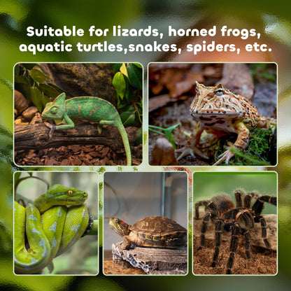 Glass Reptile Terrarium Insect Breeding Tank Vivarium Habitats with Thermometer for Lizards, Horned Frogs, Snakes, Spiders