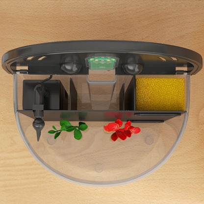 3L Small Fish Tank with Filter System, LED Light, Small Fish Tank for Betta, Shrimp, Black