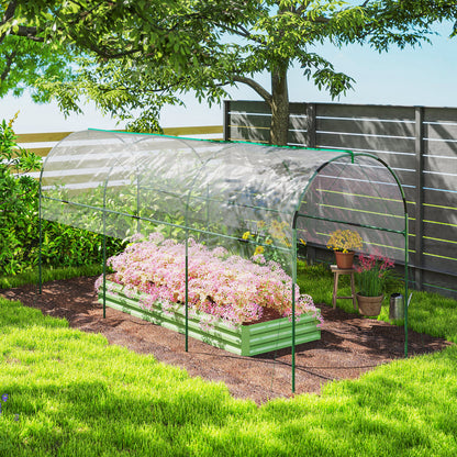 Tunnel Tomato Greenhouse with 4 Hoops and Top Tap, Pointed Bottom and Guy Ropes, 400 x 123 x 171 cm, Clear