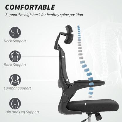 Mesh Back Office Chair, with Lumbar Support - Black