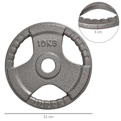 Set of 2 Cast Iron Weight Plates for 2 inch/5cm Hole Dumbbell Handle Bar, 20kg Dumbbell Plates Barbell Weight 2 x 10kg