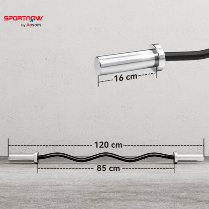4ft Olympic EZ Curl Bar, Barbell Bar for 2" Weight Plates with Non-Slip Hand Grip 120cm