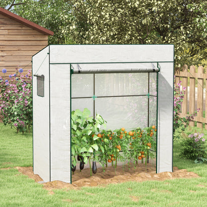 PE Cover Walk-in Outdoor Greenhouse, White
