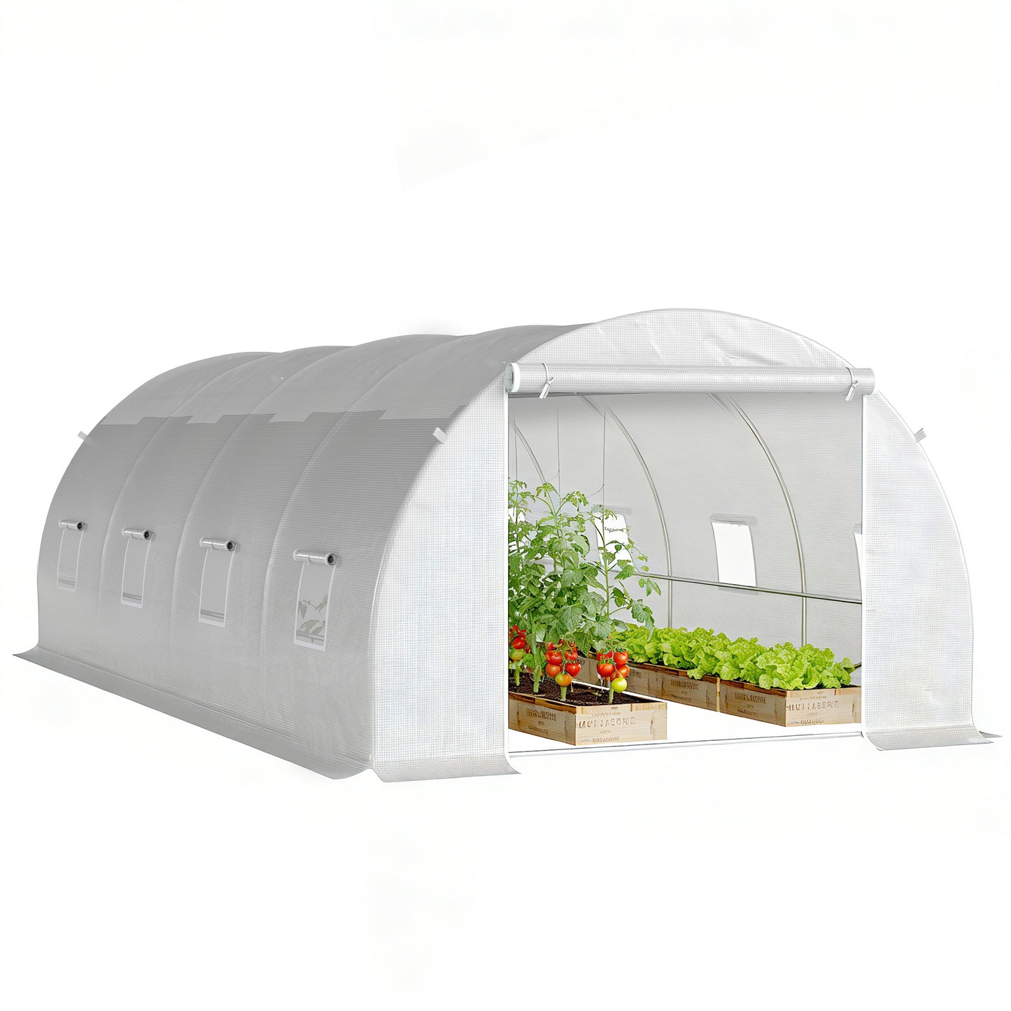 Poly Tunnel for Garden, Walk-in Polytunnel with Door and Roll Up Windows, 6 x 3 x 2 m, White