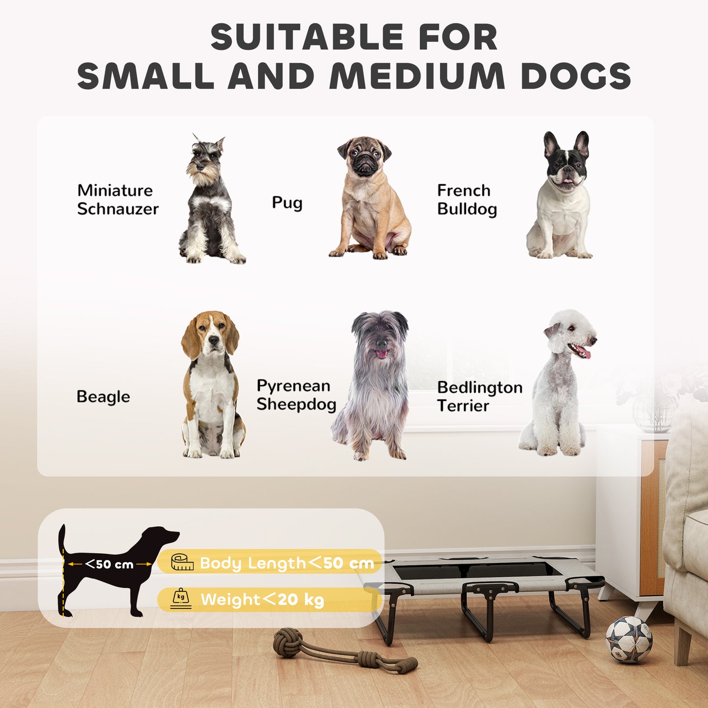 Portable Raised Dog Bed, Elevated Pet Cot with Breathable Mesh for Indoor Outdoor, for Small Medium Dogs, Light Grey