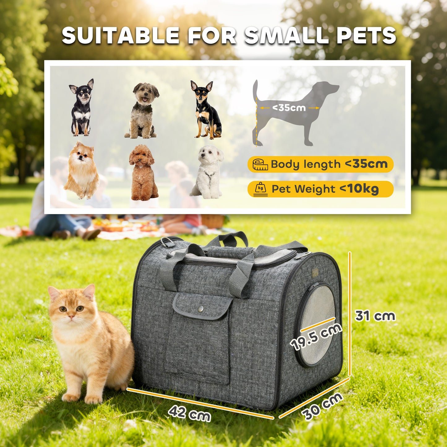 Soft Sided Cat Carrier Bag, Portable Foldable Pet Carrier with Shoulder Strap & Removable Mat for Small Pet Up to 10kg
